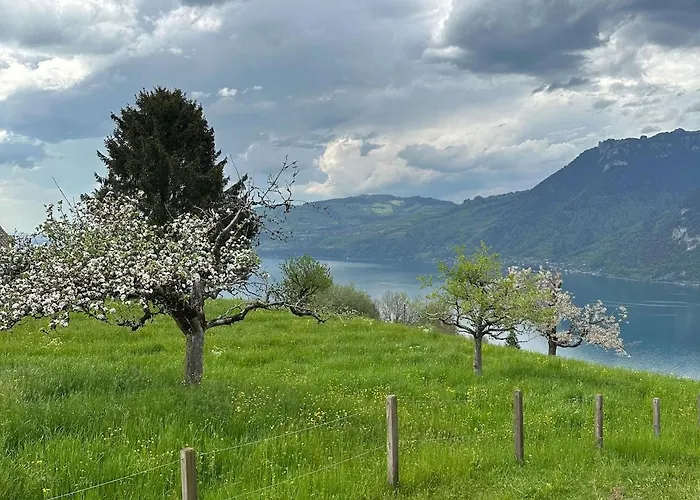 Wild Bird * Krattigen