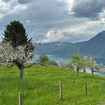 Wild Bird * Krattigen